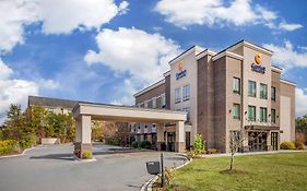 Comfort Inn & Suites Florence Center Area